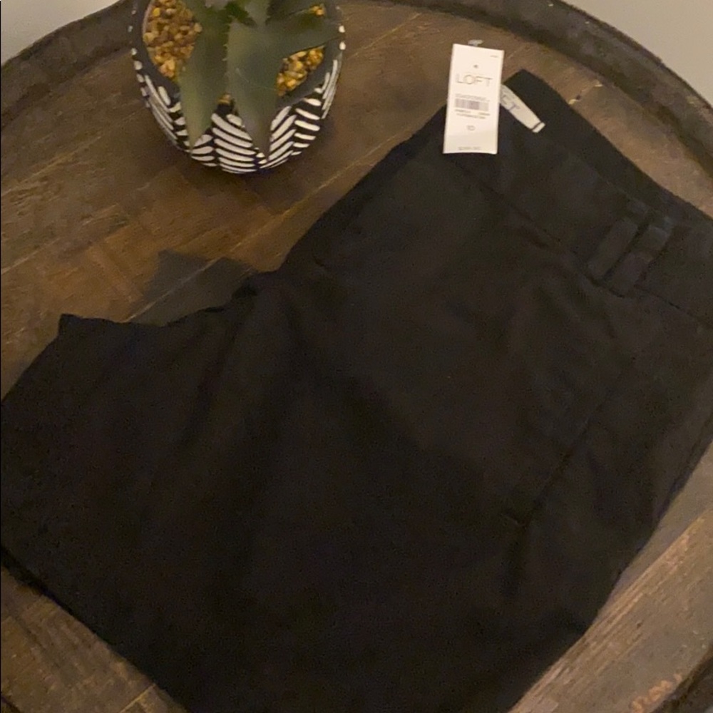 womens loft by ann taylor shorts black size 10 nwt
